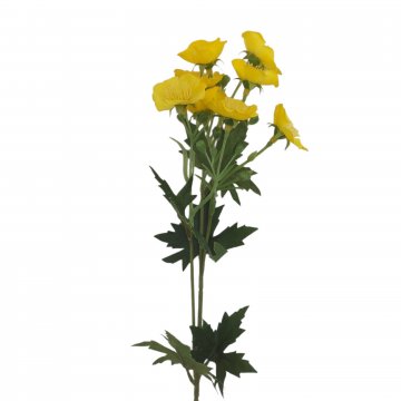 Schnittblume , Butterblume / Dotterblume, gelb, 50cm